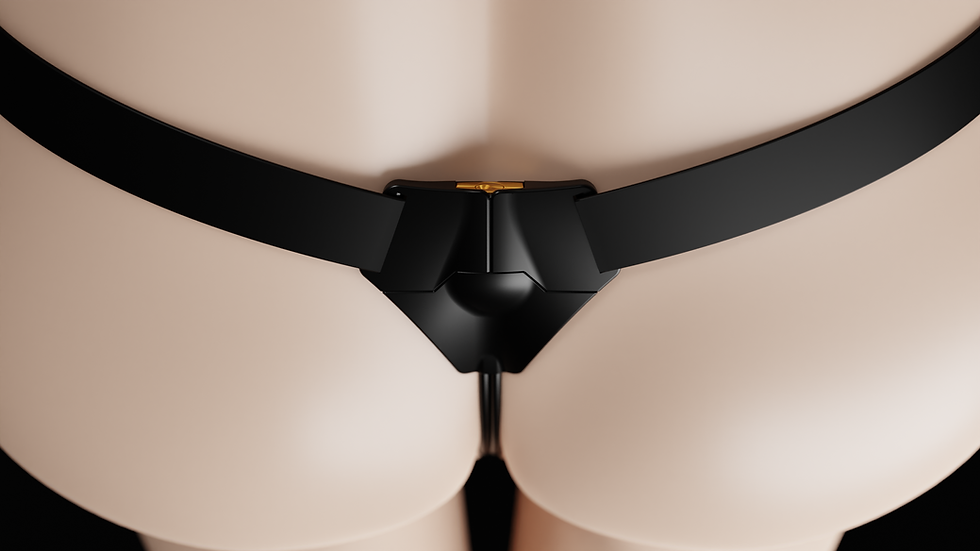GenderlockChastityBelts_01.png