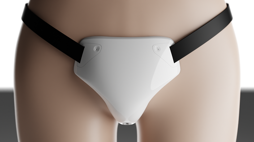 GenderlockChastityBelts_02.png
