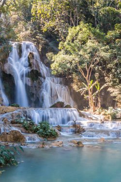 Kuang-si falls - Laos