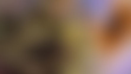 صفات طالع الثور