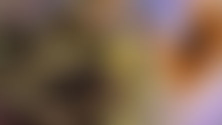 صفات طالع الثور