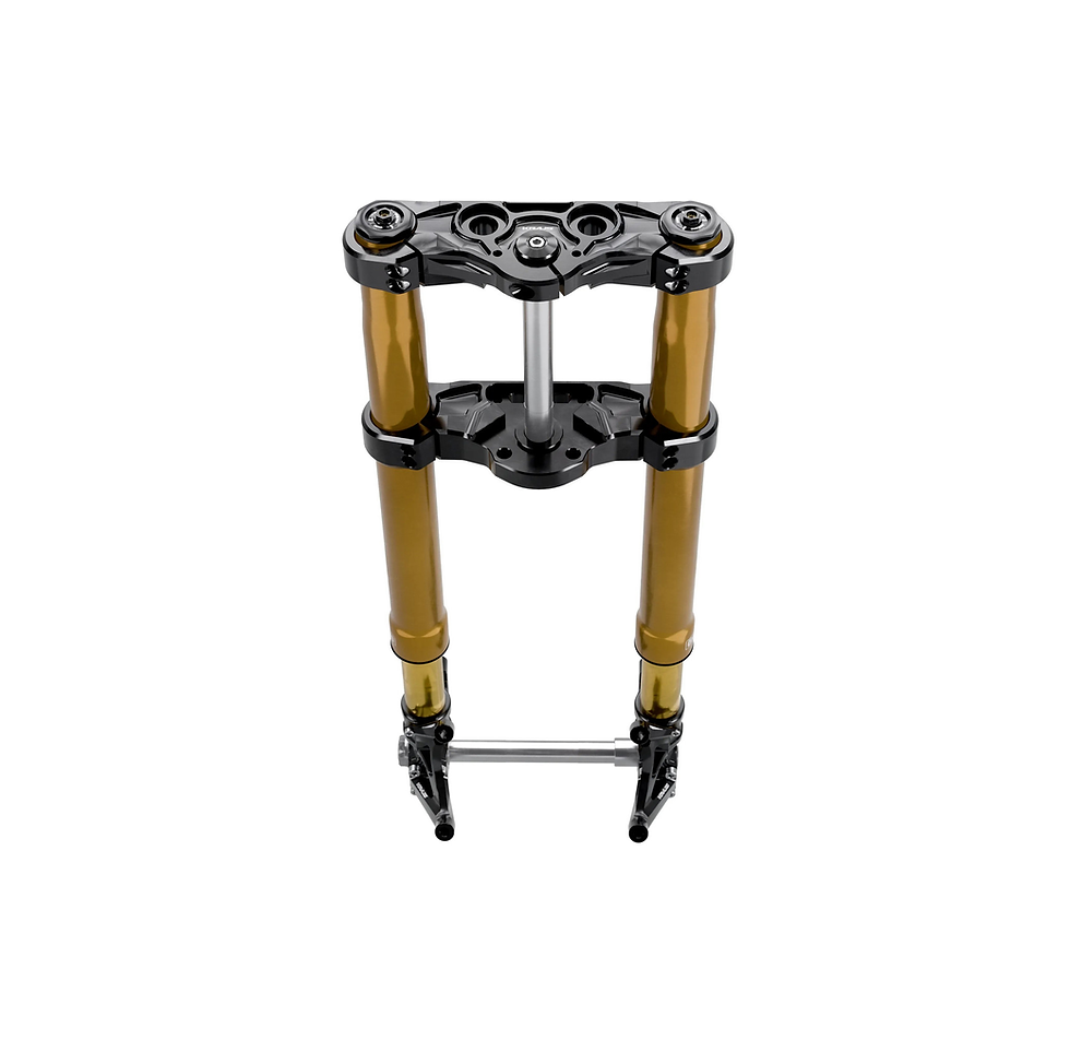 Thumbnail: Kraus SX5 Inverted Front End Kit HD Low Rider S/ST