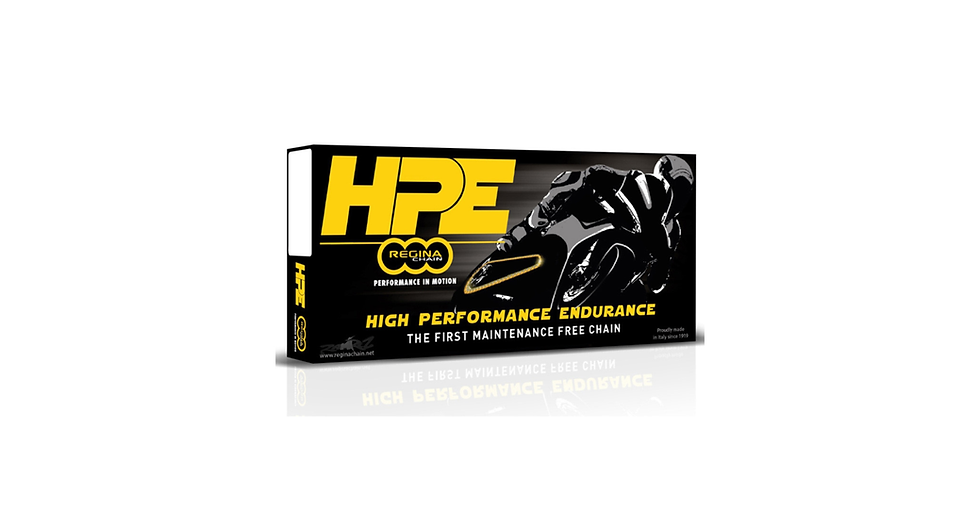 Regina HPE Chain High Performance Zero Lubrication Superbike / Supers