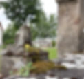 Stimmungsbild von Blüte und alter Mauer am Friedhof von Kandern.