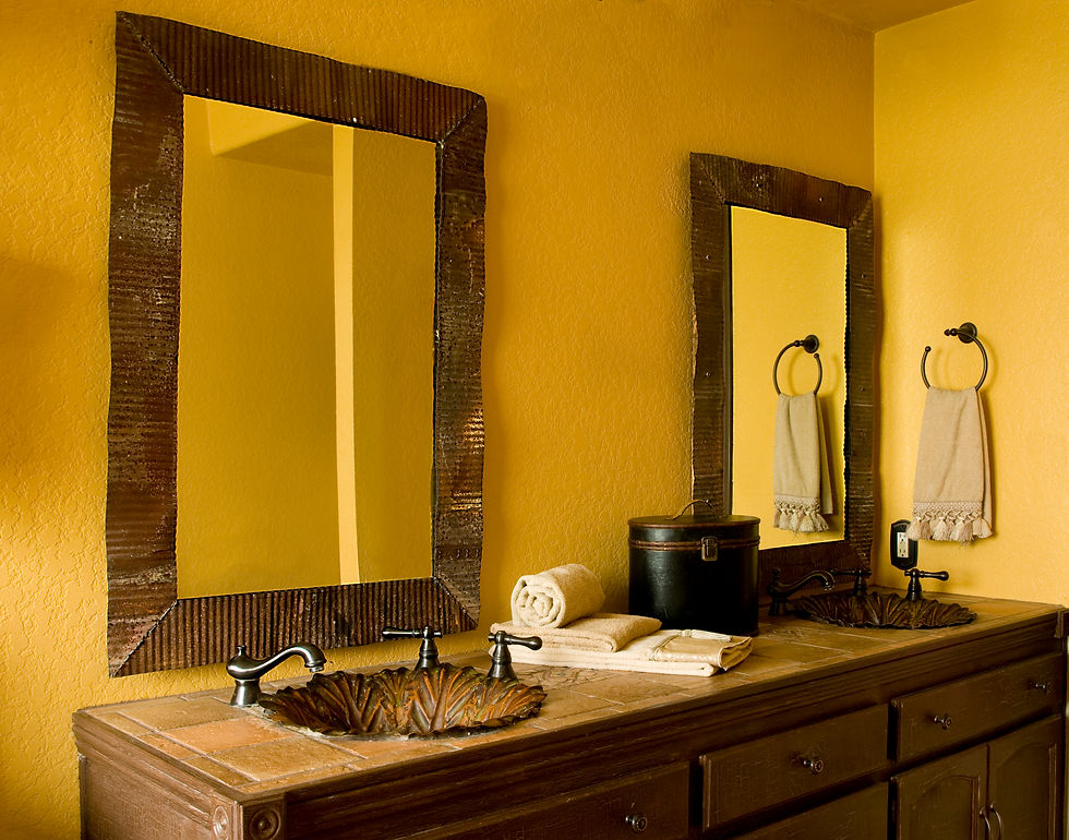 PROF FURN PIC-BATH MIRRORS