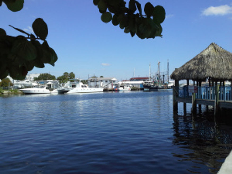 Tarpon Sprongs Harbor