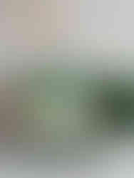 Paire de chevets Louis  XV vert