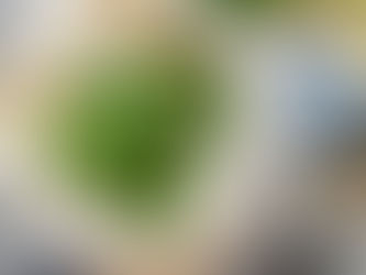 2023 Sustainable Swaps