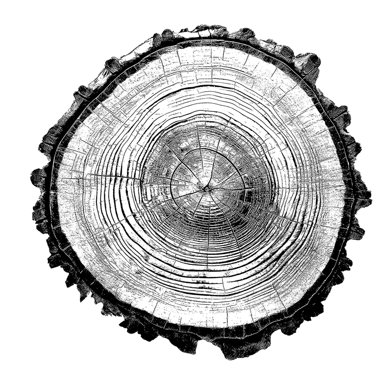wood background