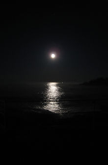IMG_3391.jpeg