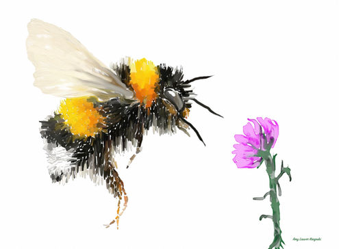 Bumble Bee With Rose - Digital Art by Amy Kregoski.