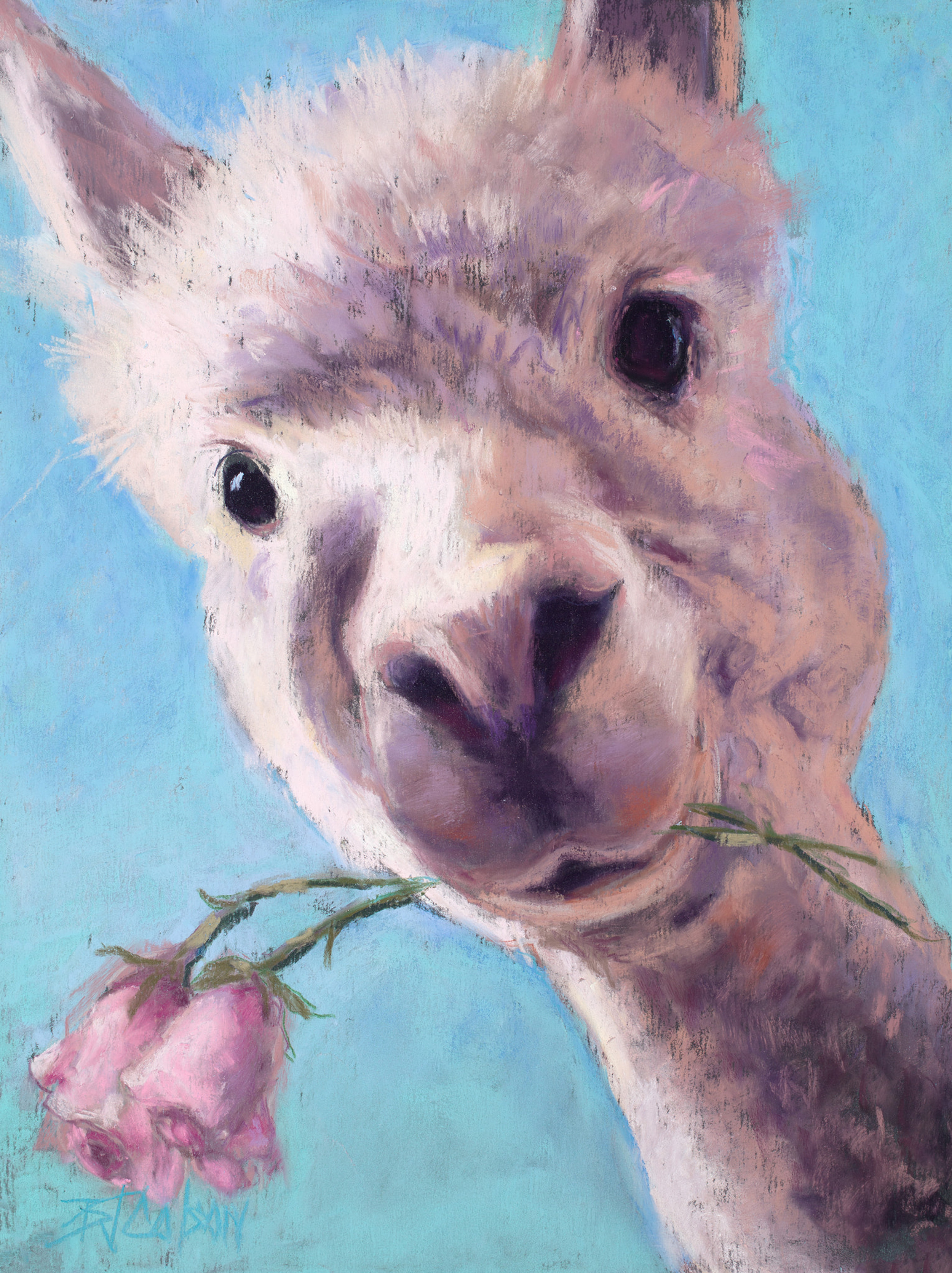 65 Roses for Cystic Fibrosis | independence gallery