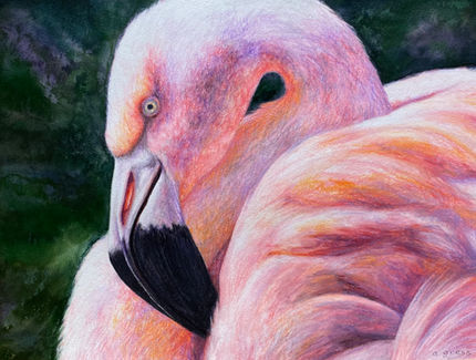 Morning Sun - Watercolor and Pencil by Amanda Gress.