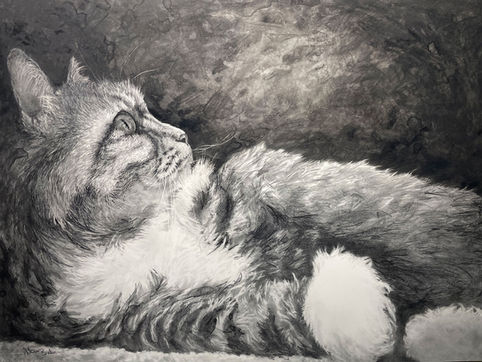 Always Looking Up - Graphite and ink by Melissa Barbee.