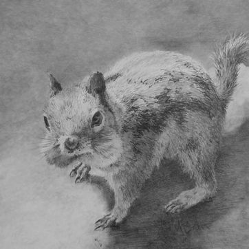 I Have Room for More - Graphite by Melissa Barbee.