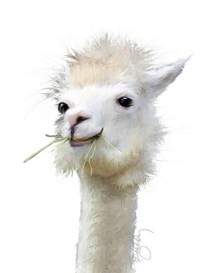 Needs More Salt - Digital Watercolor by Brenda Leedy.