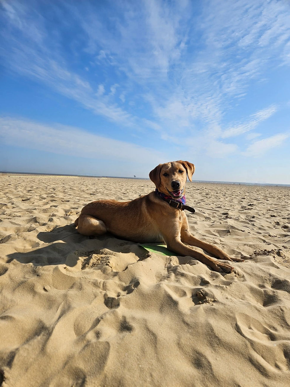 FB_IMG_1763734843426