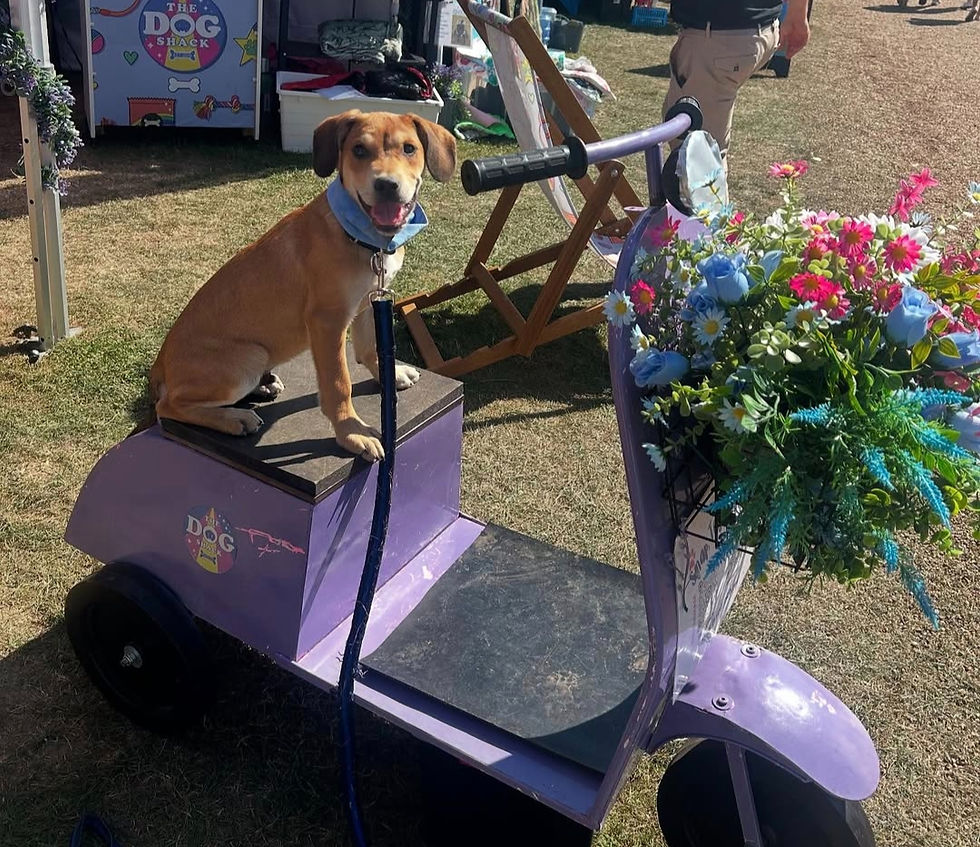 Screenshot_20251121_140001_Instagram_edited