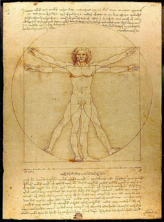 vitruvian man wallpaper