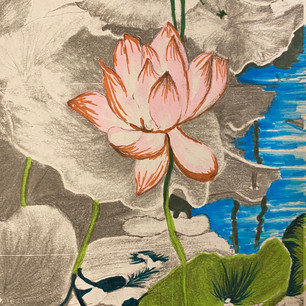coloured pencil1.jpeg