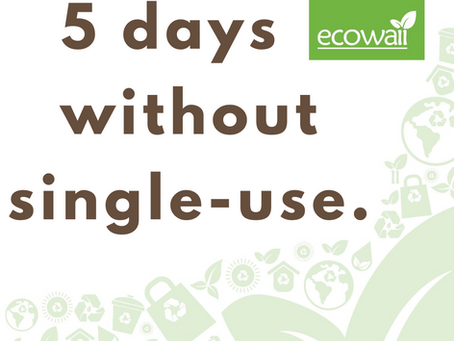 5 Days Without Single-Use Plastics