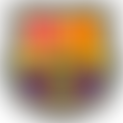 Sobre el FC Barcelona