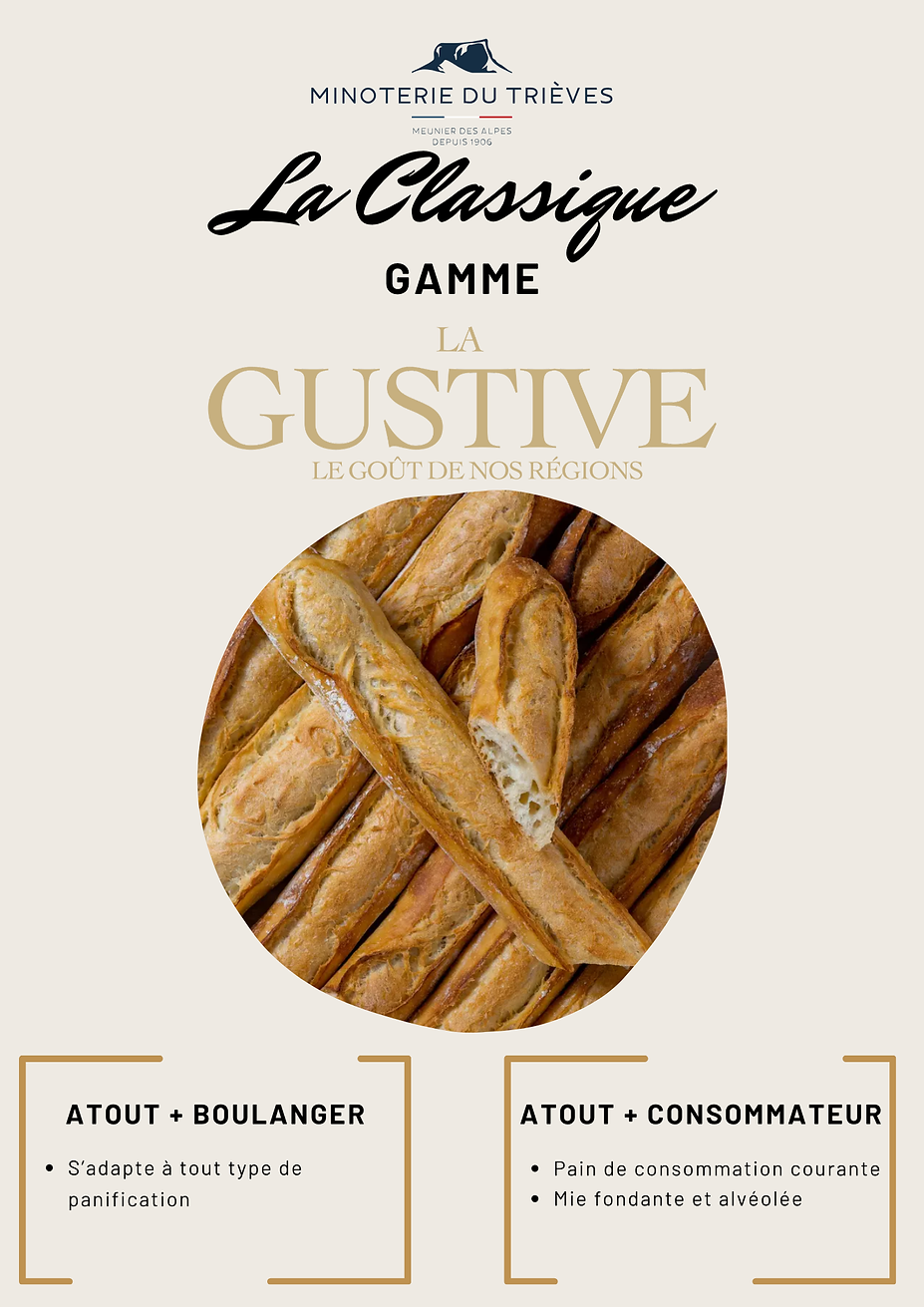 Gustive classique-1.png