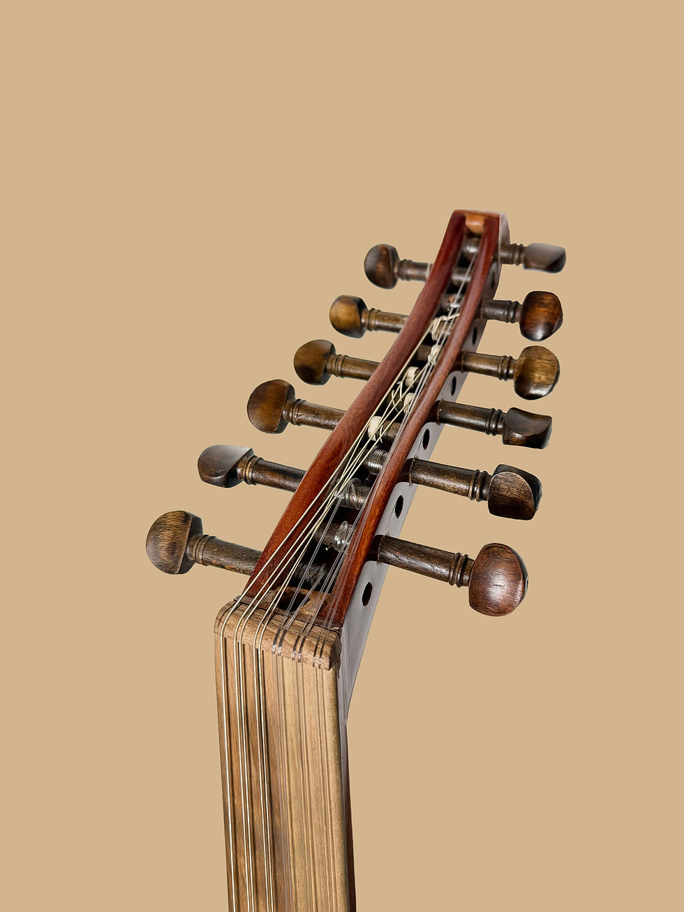 الصورة المصغرة: Zeryab - Shami 24