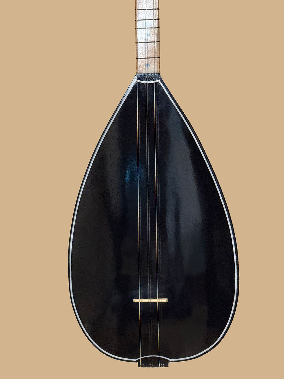 Thumbnail: Diyarsaz evi Noktali (Black)