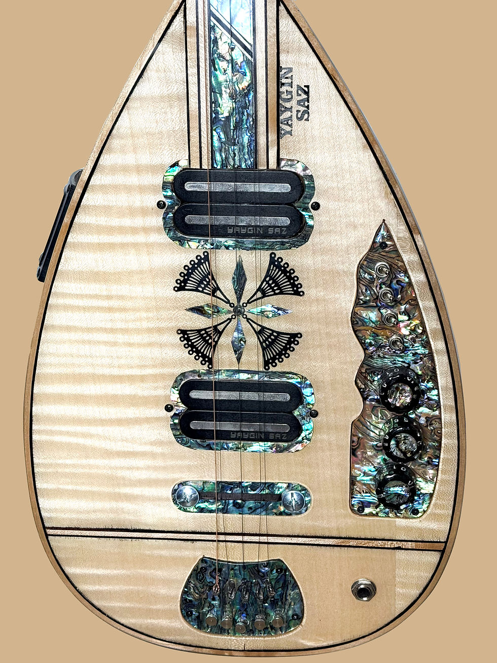 Miniaturbild: YAYGIN SAZ - Elektro