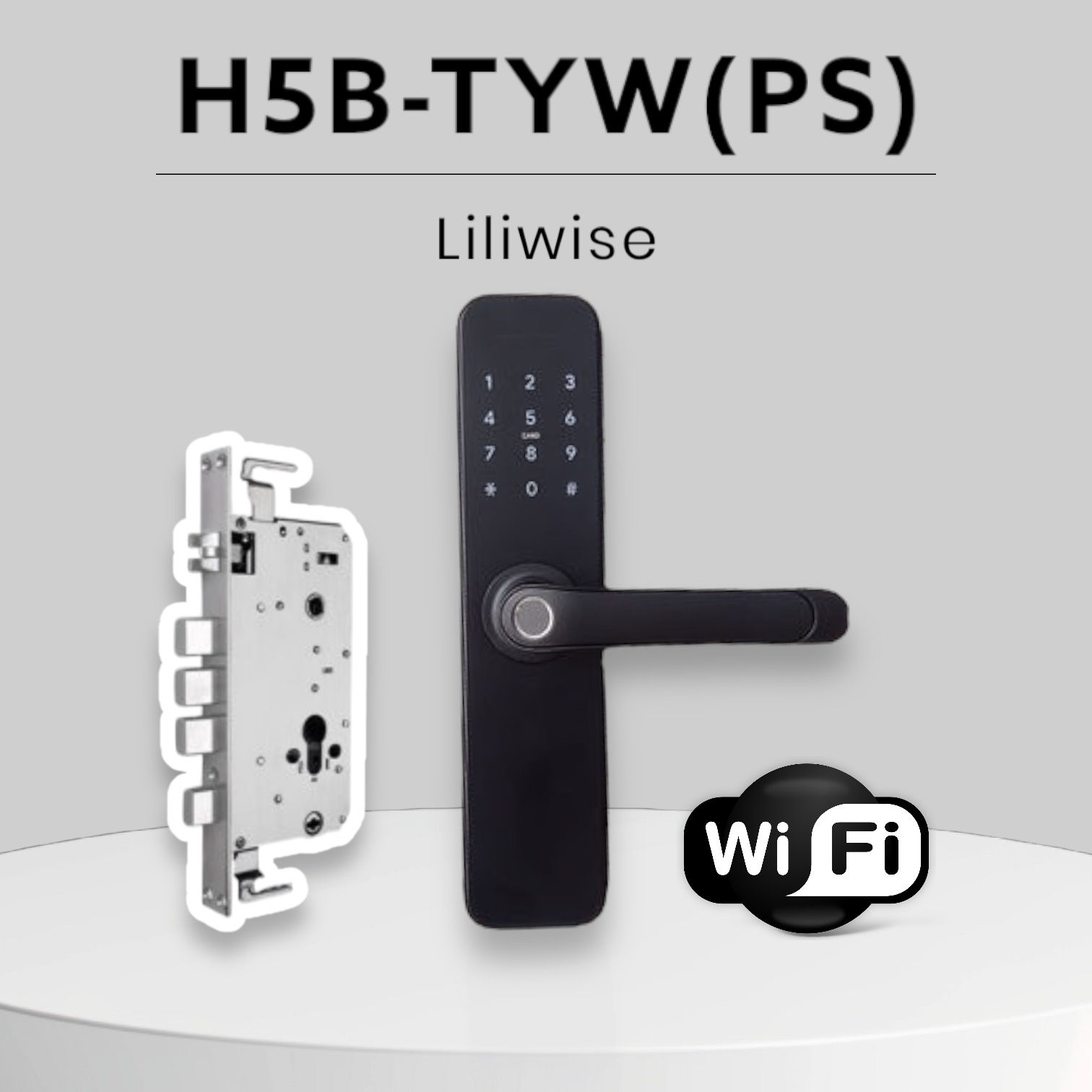 Cerradura LILIWISE H5B-TYW (PS)