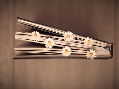 A book with daisies between the pages