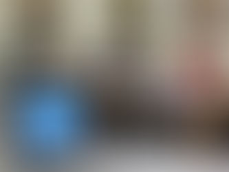 Les pollutions plastiques