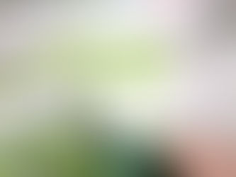 Pflanze gegen Lampe: Eine blättrige Kopfnuss