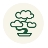 bonsai.png