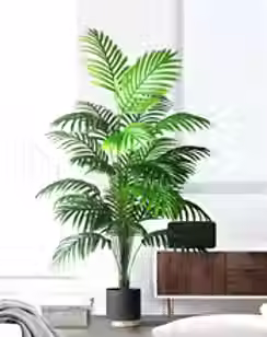 Home Decor.avif