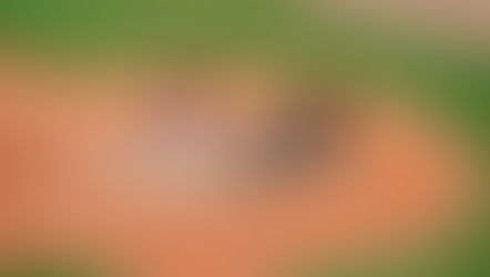 City Celebrates World Series hosting Jays on the big screen in            "The Birds Nest"                               CELEBRATION SQUARE                           Oct. 24 - Nov. 1 (if needed)