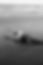 IMG_0257.JPEG
