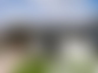 アースグリーンが映える!かわいい平家! いよいよ完成見学会