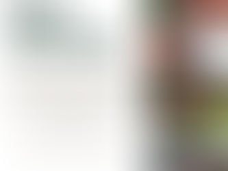 WE CAN UNITY ALL 50 STATES