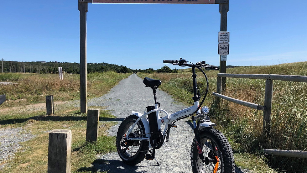 Join us! 2nd Free Guided eBike Tour