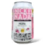 Waterland Nicky Nada NEIPA