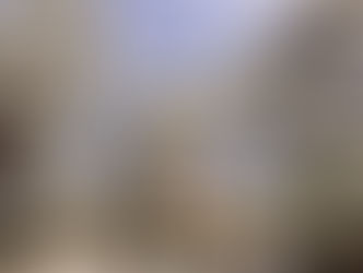 Are you flocking serious.