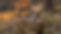 High_resolution_wallpaper_background_ID_
