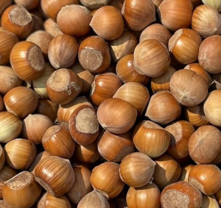 A bizarre and, well, nutty fight is happening over naming N.J.’s official state nut