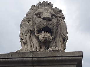 20200605_153735.jpg