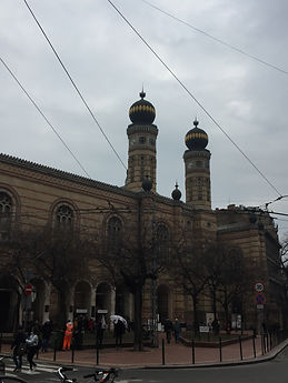 IMG_7688.JPG