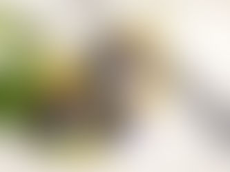 Premiada em Londres, a mineira Manza eleva o padrão da sidra