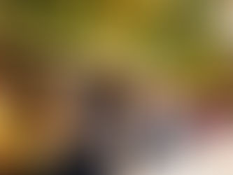 Feira de Natal no Mercado de Origem