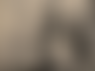 Visita temática “Rembrandt — O mestre da luz e da sombra”